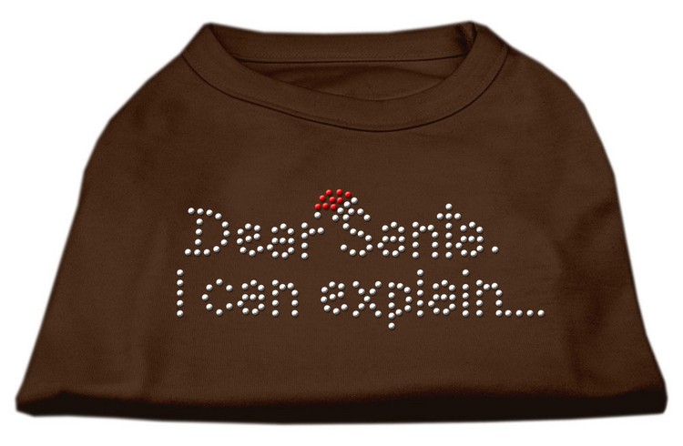 Dear Santa I Can Explain Rhinestone Shirts Brown XS